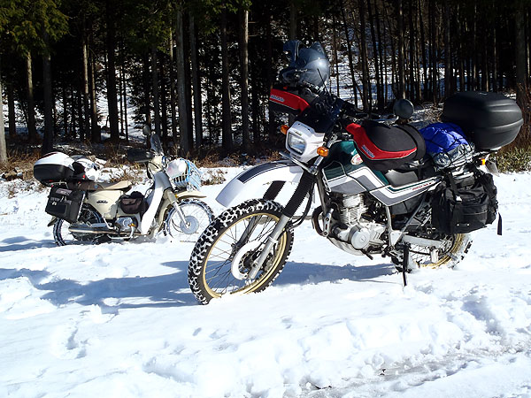 ＭＡＥＤＡさんのセローと私のスーパーカブのツーショット